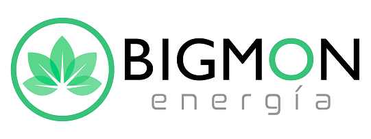 BIGMON Energía